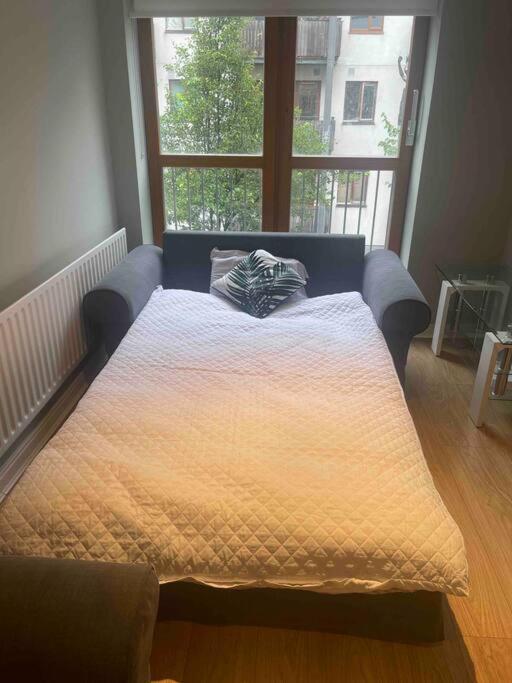 In Dublin'S Best Tourist Spot Temple Bar Fully Renovated מראה חיצוני תמונה